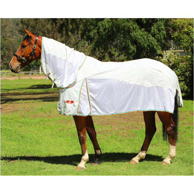 Zilco Econo Hybrid Combo Rug