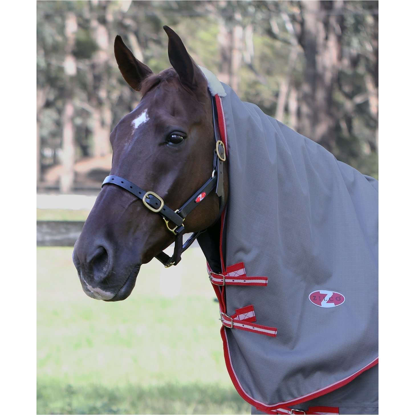 Zilco Garrison Neck Rug - Grey/Red