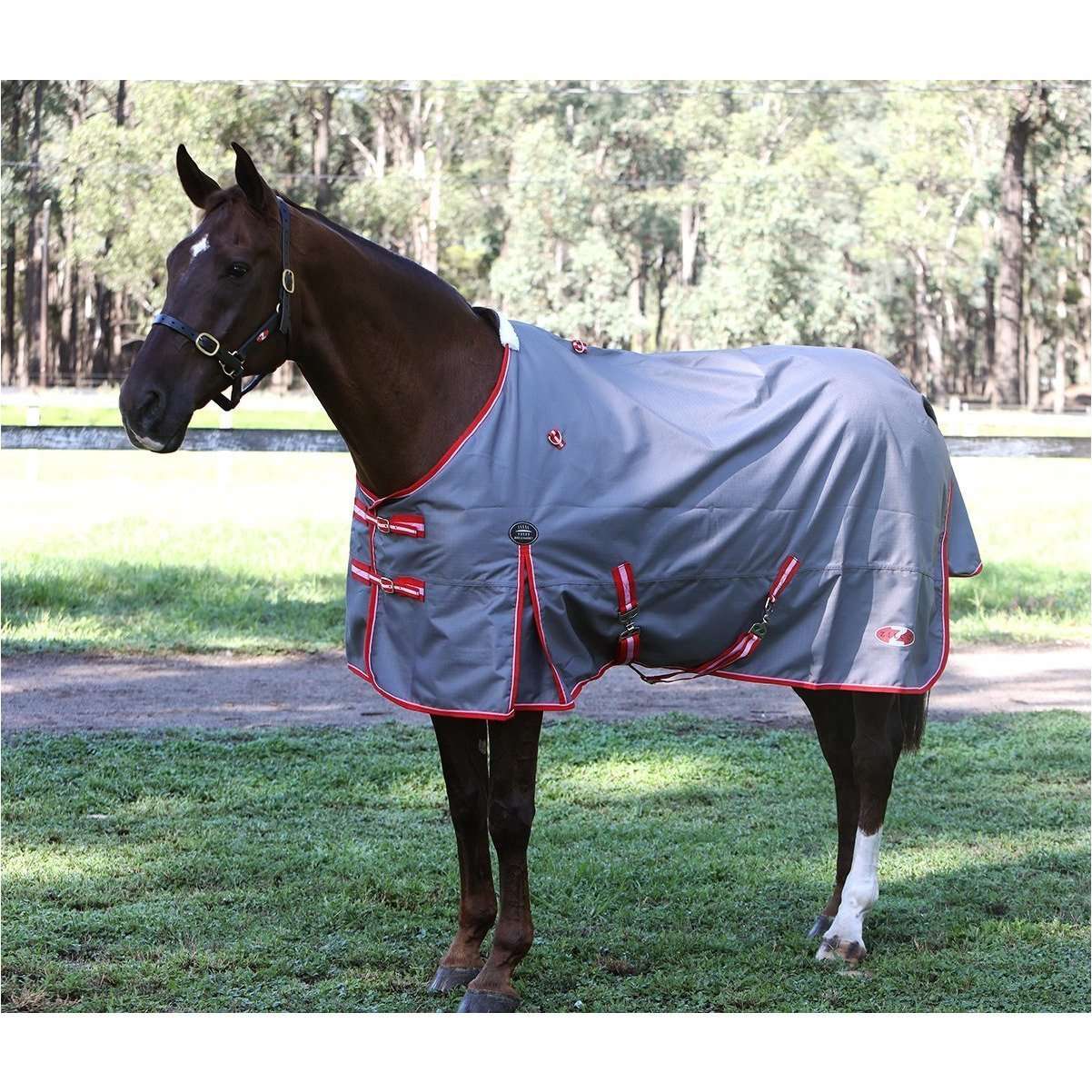 Zilco Garrison Rug - Grey/Red