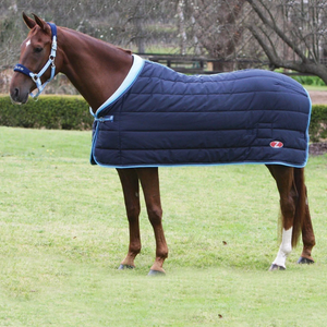 Horse gear for outlet sale